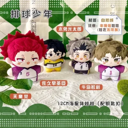 Haikyuu Volleyball Plush doll Ushijima Jori Kotaro Kito Tiantong Jue Masami Sakusa Yu Nishinoya Tobio Kageyama boy kids gift toy