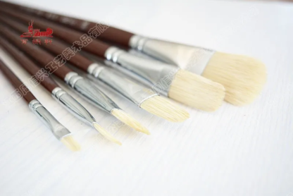 6Pcs/Set pig bristle Paintbrush Set Acrylic paints Oil Paint brush water color brush artist Supplies Professional Art Supplies - Image 4