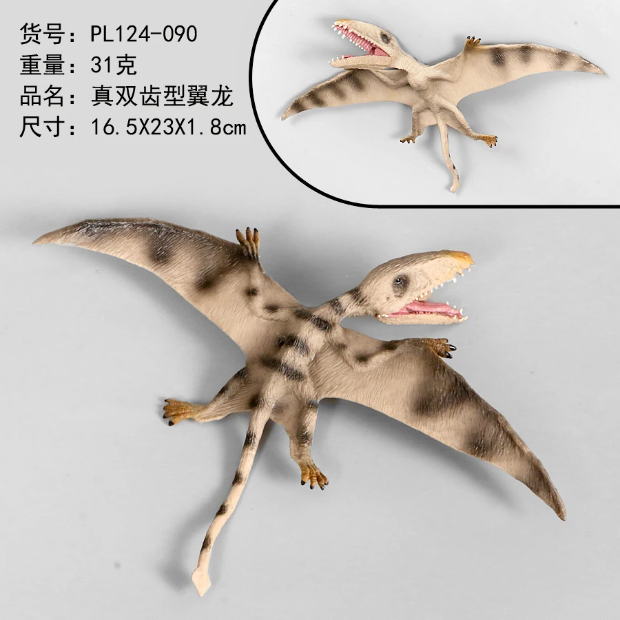 Pterodactyl 5