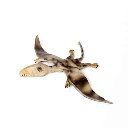 Simulation Dinosaur Animal Figures Toy Classic Pterodactyl Action Figures Pteranodon archaeopteryx Animal Model Collection toys - Image 3